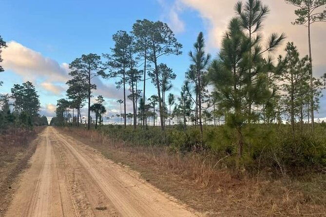 guided-day-hike-through-floridas-wild-backcountry