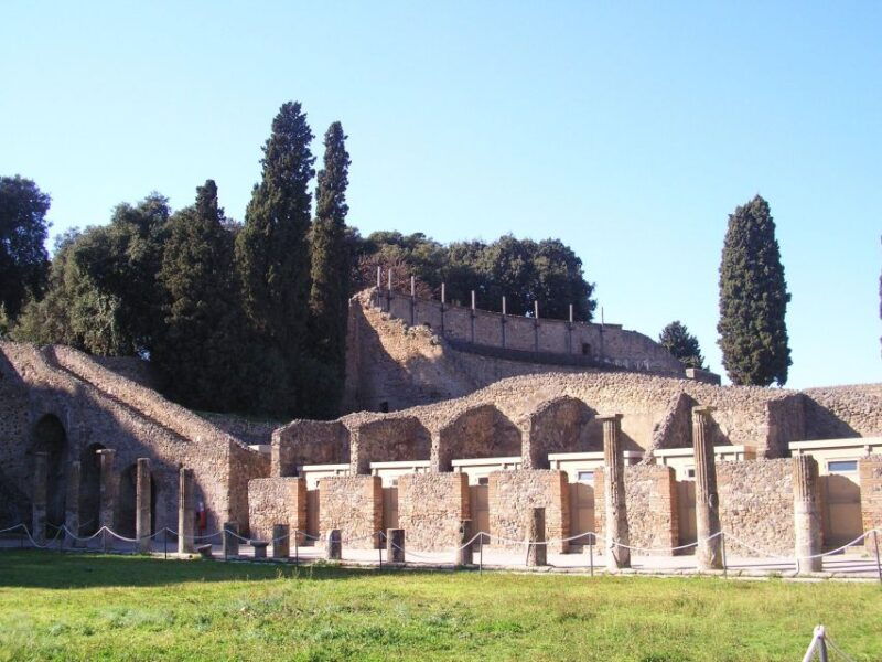 guided-visit-of-pompeii-and-mount-vesuvius-spanish-french