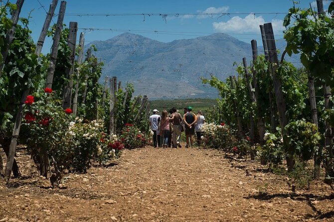 half-day-private-tour-in-two-wineries-and-archanes-from-heraklion