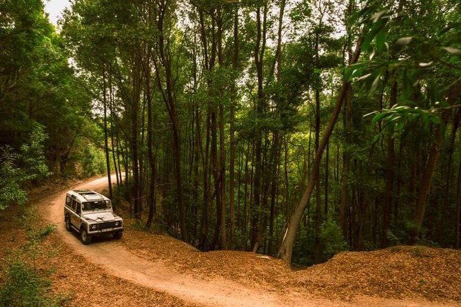 half-day-sintra-jeep-safari