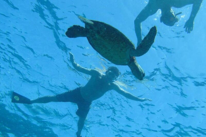 hawaii-puuhonua-o-honaunau-kealakekua-bay-snorkel-tour