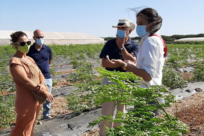 healthy-eco-finca-and-pine-forest-experience