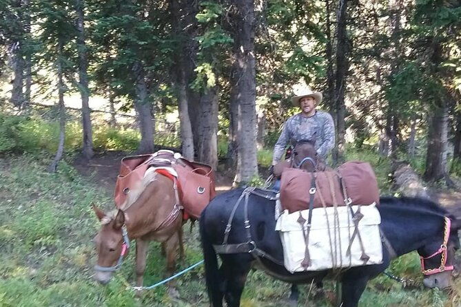 high-mountain-scenic-trail-rides-in-the-teton-range