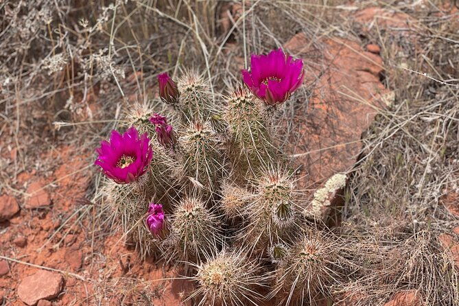 hike-and-heal-couples-relationship-in-sedona-healing-red-rocks