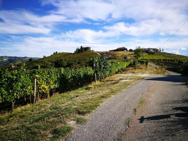 hiking-and-wine-tour-starting-from-alba-2