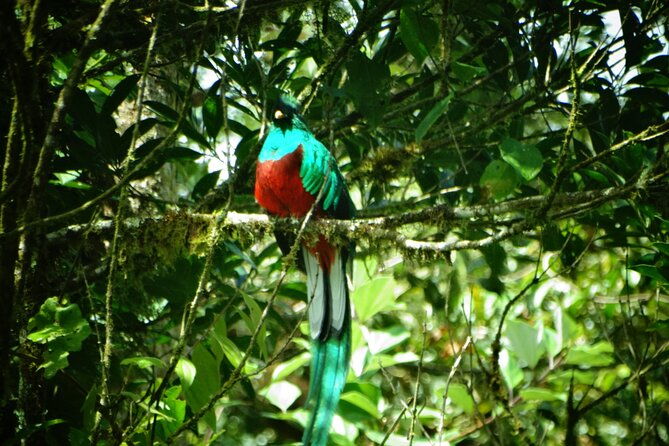 hiking-experience-in-el-quetzal-private-reserve