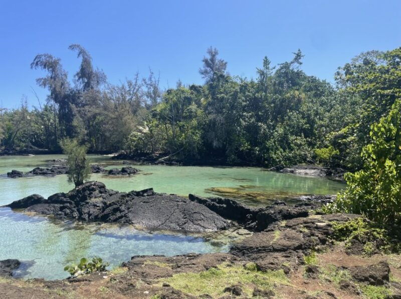 hilo-sea-turtle-lagoon-and-black-sand-beach-snorkel