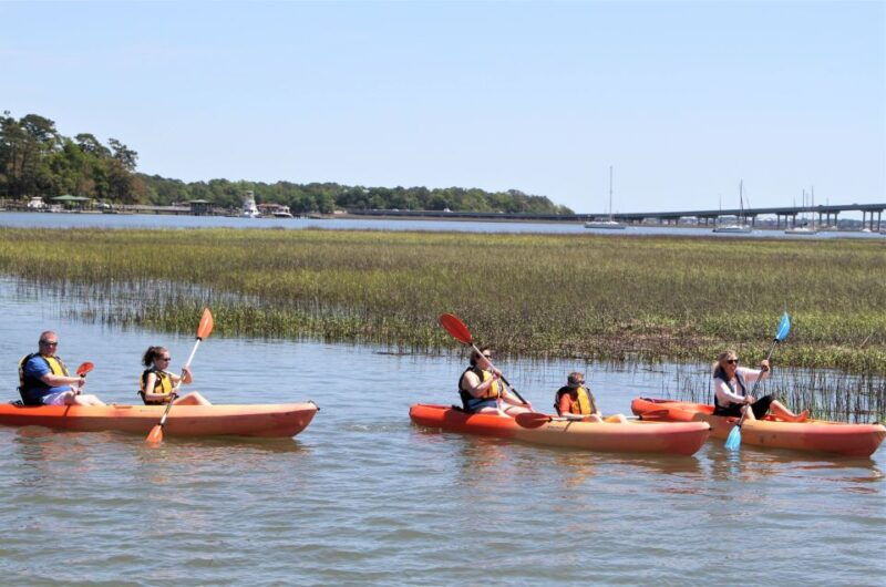 hilton-head-island-1-5-hour-guided-small-group-kayak-tour