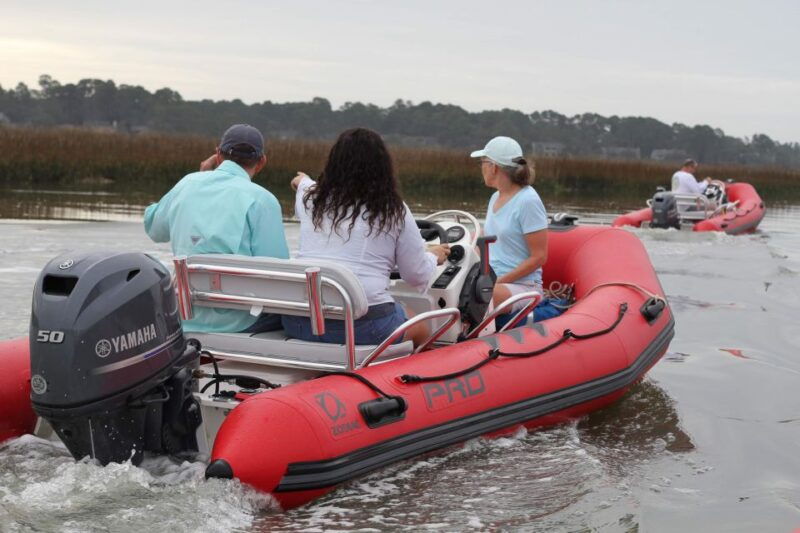 hilton-head-island-mini-boat-dolphin-tour