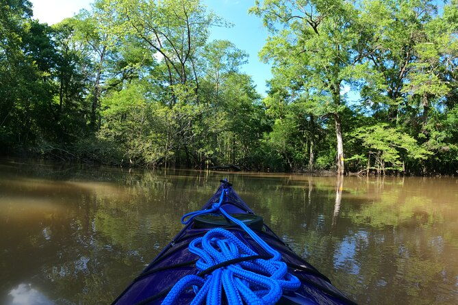 historical-scenic-bayou-swamp-water-trail-kayak-tour