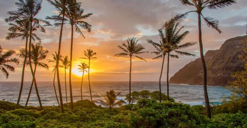 honolulu-3-hour-sunrise-photos-tour-with-malasadas