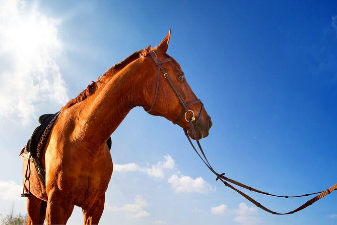horse-riding-on-the-beach-in-side