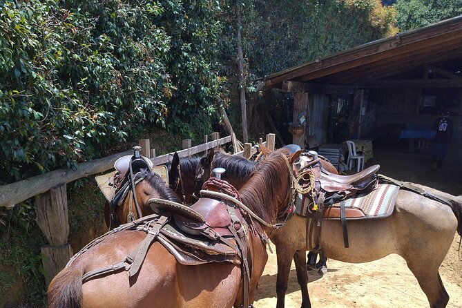 horseback-riding-in-medellin-mountains