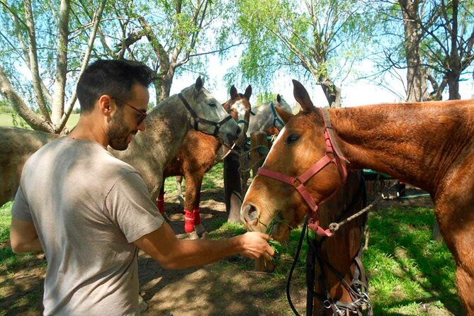 horseback-riding-tour-and-polo-in-argentine-countryside