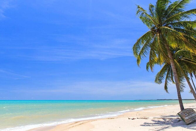 ipioca-beach-tour-from-maceio