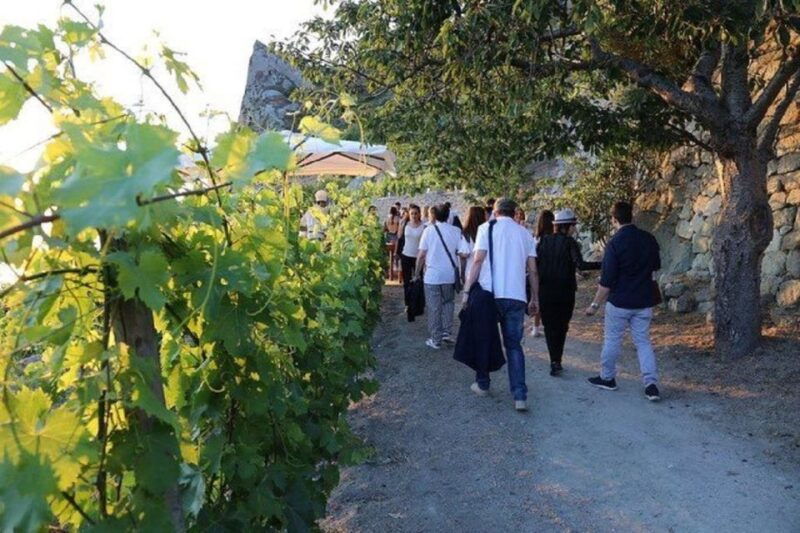 ischia-vineyard-tour-wine-tasting-experience-w-transfers