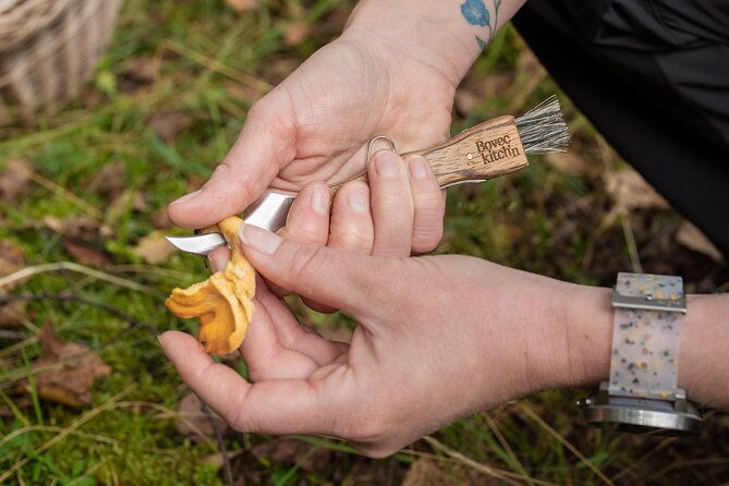 it-smells-like-mushrooms