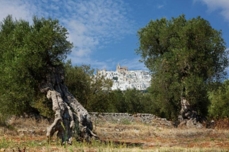 itria-valley-van-tour-beautiful-villages-in-puglia