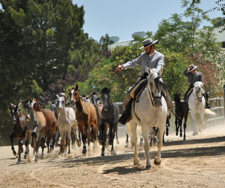 jerez-carthusian-horses-tour-at-the-yeguada-de-la-cartuja