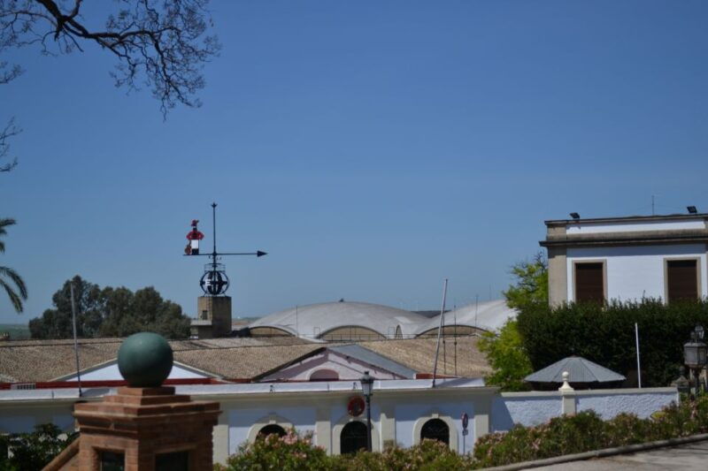 jerez-de-la-frontera-1-5-hour-walking-tour-with-a-guide