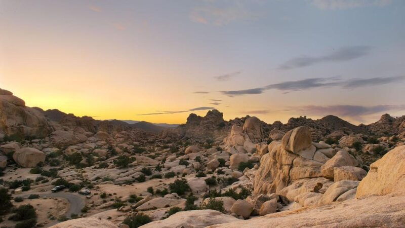 journey-into-joshua-tree-audio-driving-tour-and-local-guide
