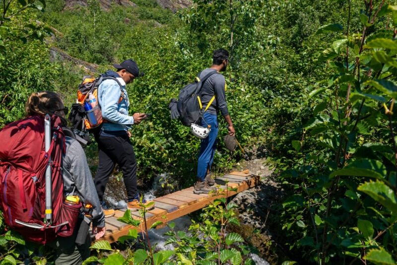 juneau-mendenhall-glacier-guided-trail-hike