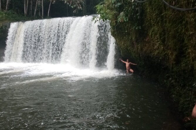 jungle-and-adventure