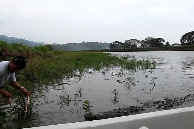 jungle-crocodile-safari-jaco-beach-from-san-jose
