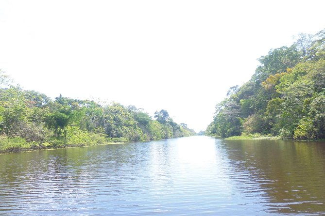 jungle-tour-3-days-2-nights