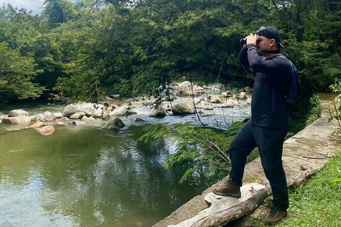 jungle-tour-bird-watching-and-local-fauna-from-guatape