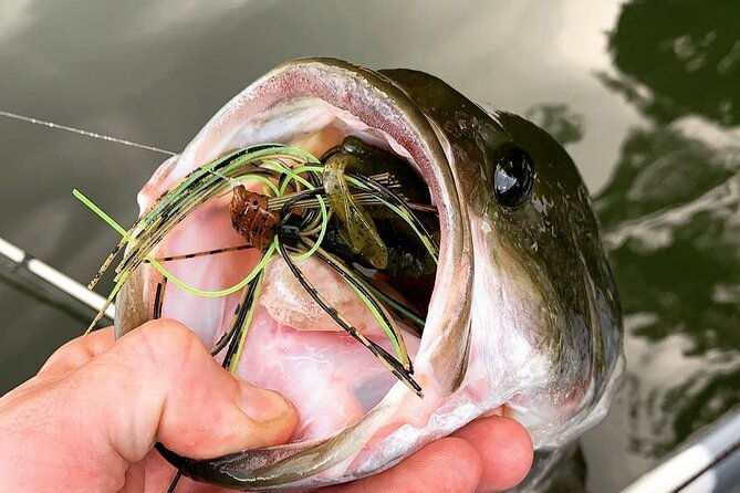 kayak-fishing-guides-and-scenic-paddle-tours