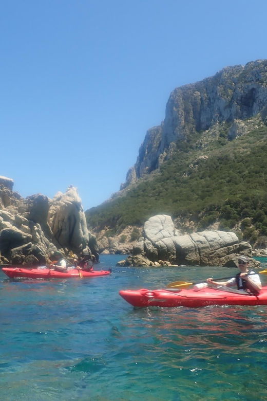 kayak-tour-of-capo-figari-golfo-aranci-3-hours