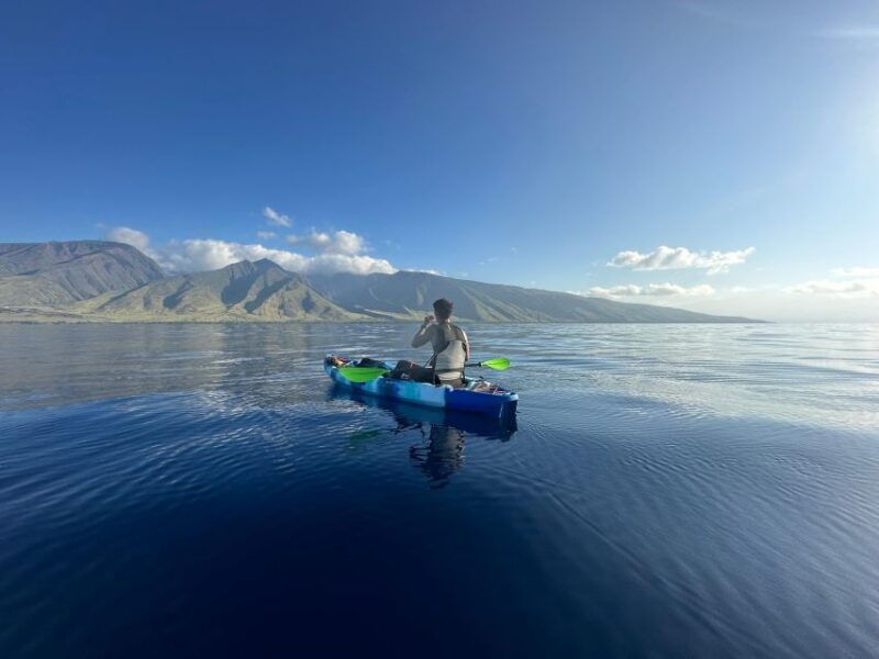 kayak-whale-watch-and-snorkel-at-turtle-town