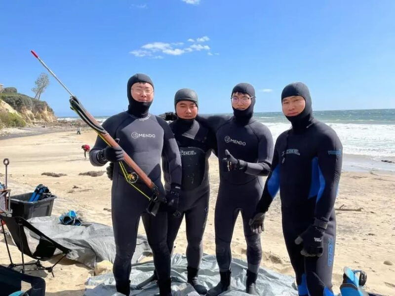 kelp-forest-spearfishing-adventure