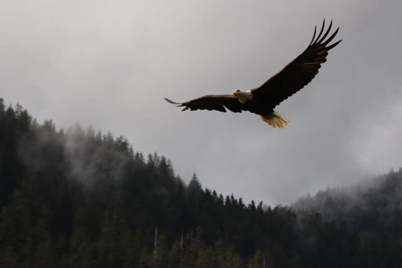 ketchikan-alaska-native-cultural-and-scenic-shore-excursion