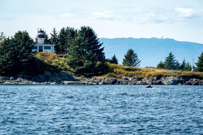 ketchikan-lighthouse-totems-eagles-excursion