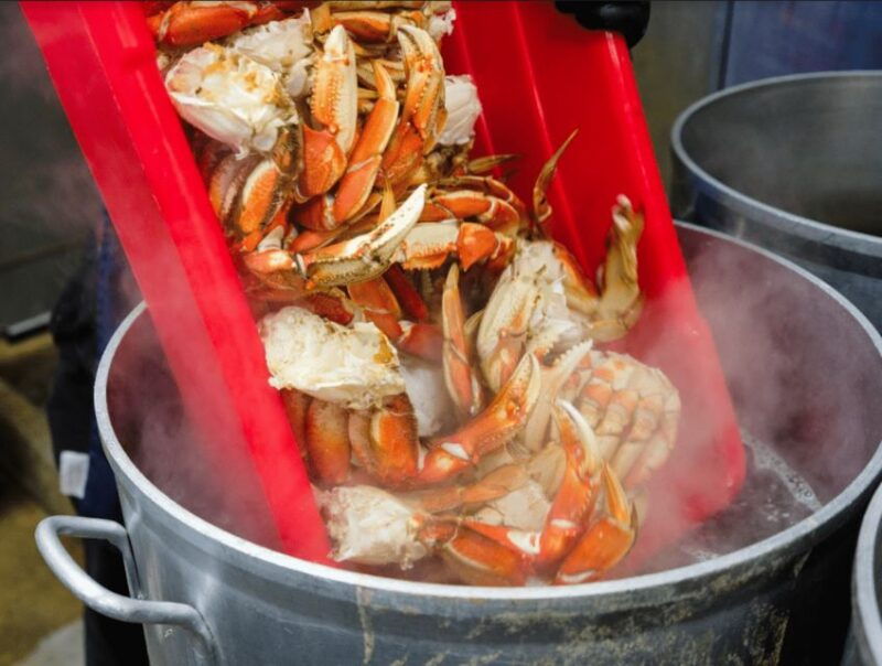 ketchikan-wilderness-boat-cruise-and-crab-feast-lunch