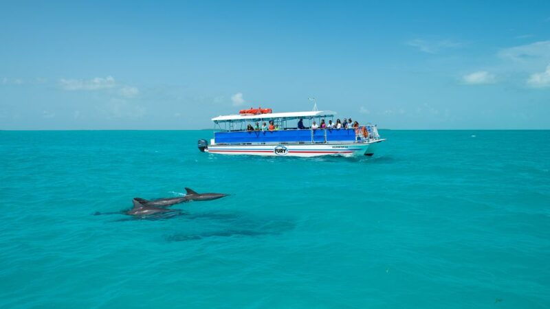 key-west-dolphin-watching-and-snorkeling-eco-cruise-tour