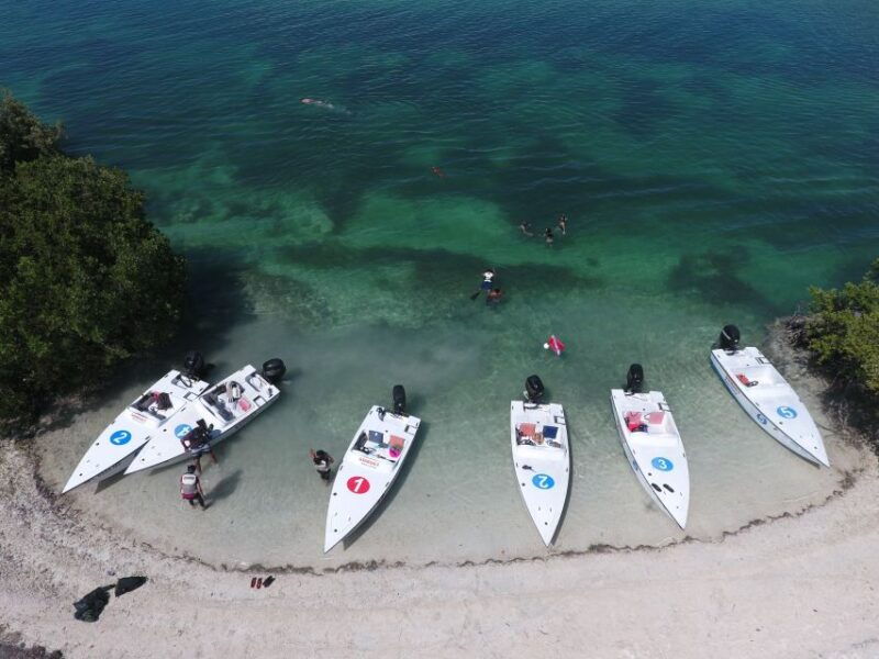 key-west-eco-safari-sandbar-tour-with-snorkeling