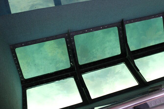 key-west-tours-from-miami-dolphin-discovery-snorkeling-more