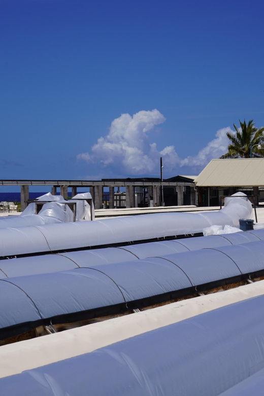 kona-hawaiian-salt-farm-tour
