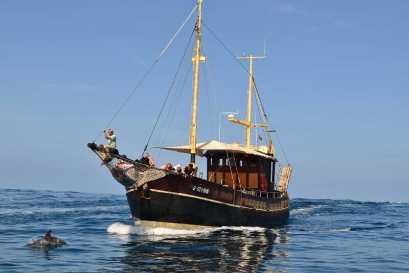 la-palma-bussard-premium-tour-marine-biology-nature
