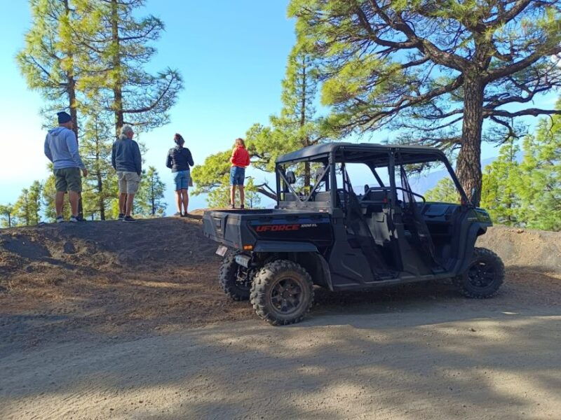 la-palma-volcano-route-buggy-tour