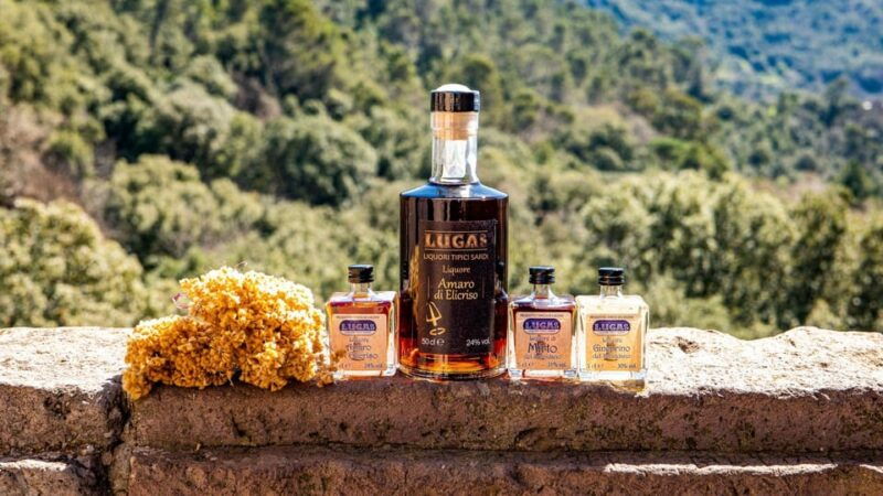 laconi-chocolate-and-typical-liqueurs-workshop-w-tasting