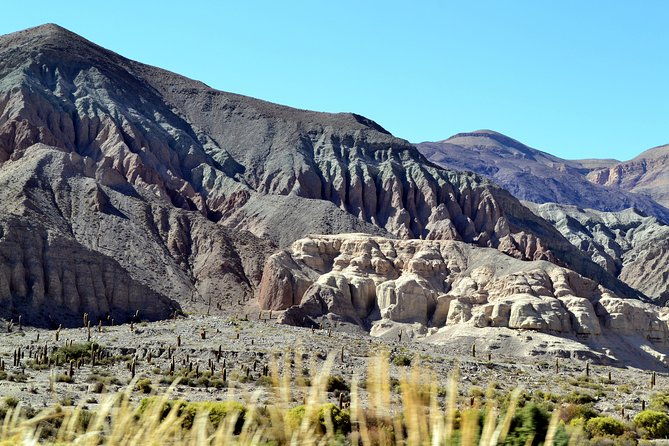 laguna-del-toro-and-flamingo-watching-4wd