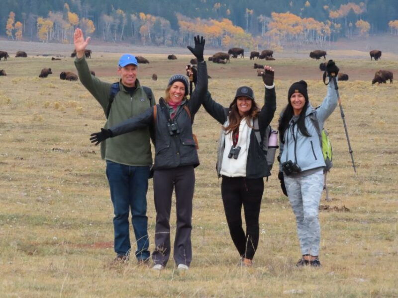 lamar-valley-safari-hiking-tour-with-lunch