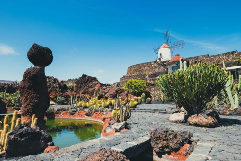 lanzarote-cesar-manrique-full-day-tour