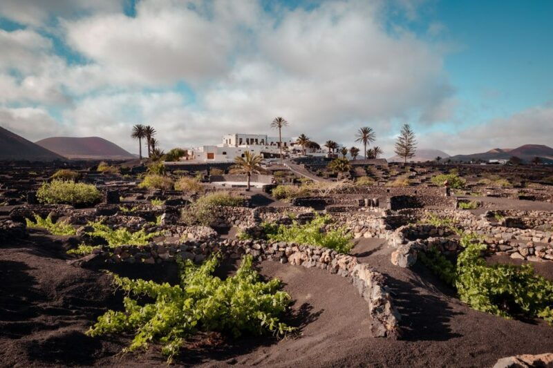lanzarote-vineyard-tour-with-wine-and-chocolate-tasting