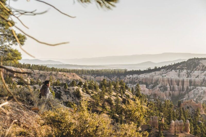 las-vegas-grand-canyon-national-park-south-rim-guided-tour