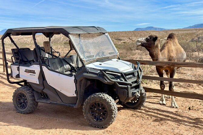 las-vegas-guided-utv-safari-and-zoo-tour